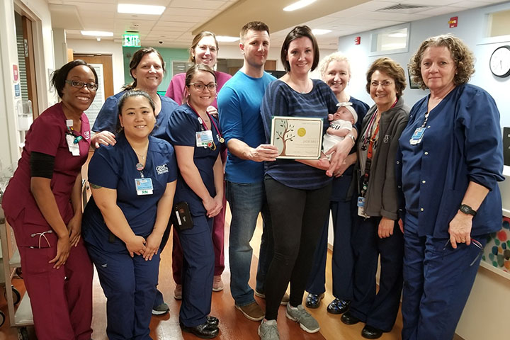 nicu-gallery