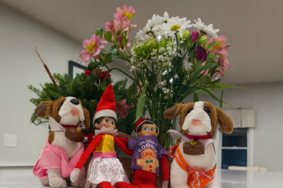 Elf on the Shelf entourage