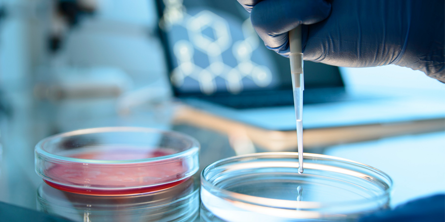 Why There Isn't a Cure for COVID-19