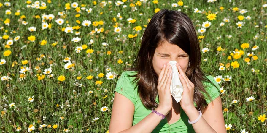 Allergies vs. Colds