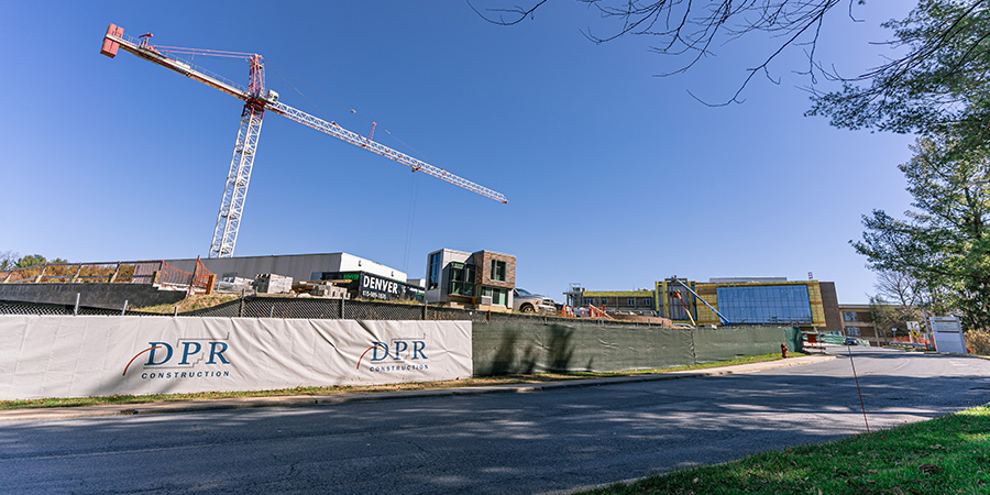 Curious about the Sandra R. Berman Pavilion? Look Up!