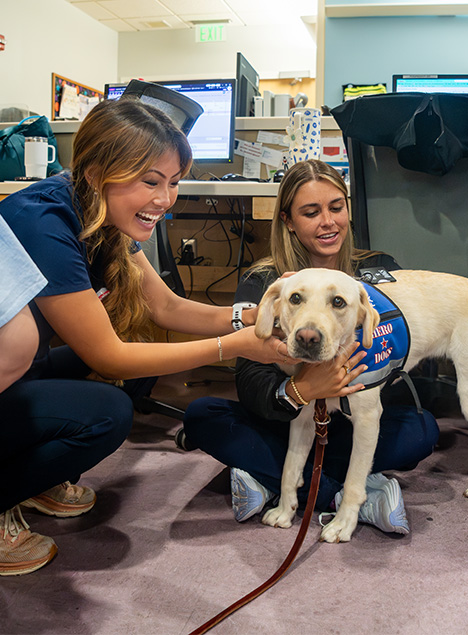 ED nurses pet and cuddle Olivia